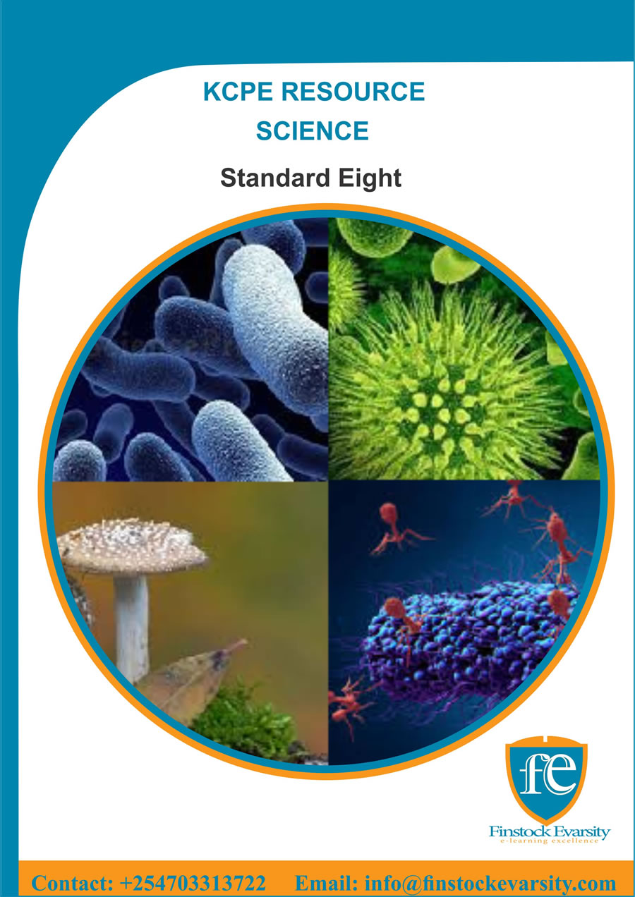 Science Standard Eight Textbook Hard Copy  Finstock Evarsity Resources