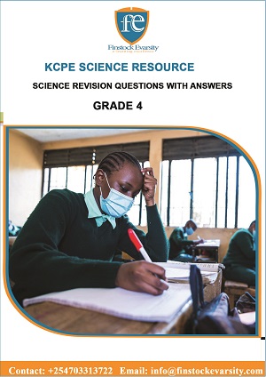 science and technology grade 4 revision questions