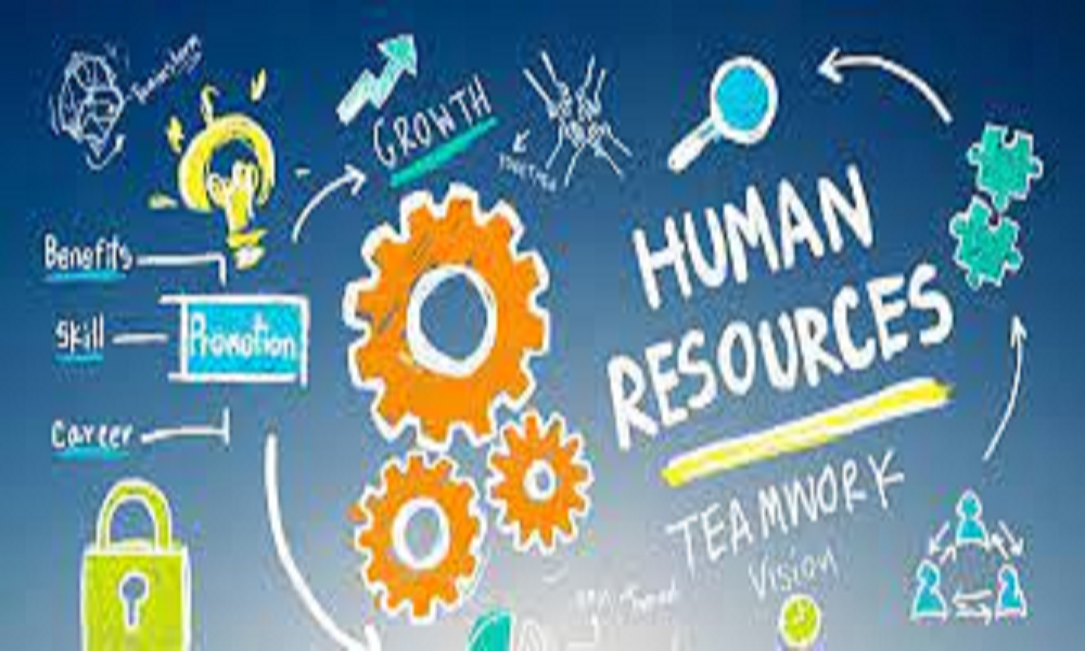 Mastering Human Resource Management With Finstock Evarsity’s Online ...