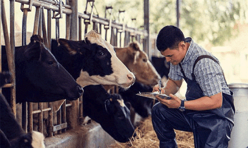 5 Reasons of Studying for the Course Livestock Record Keeping ...