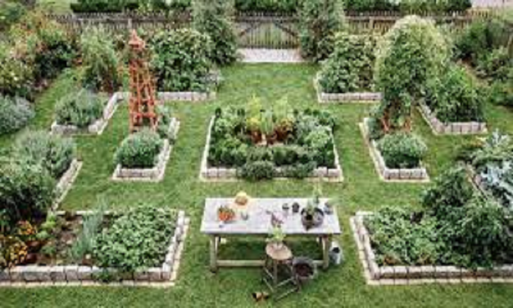 Three Ways of Designing a Simple Kitchen Garden Finstock Evarsity