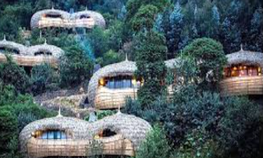 Sustainable Tourism and Eco-Friendly Hotels: A New Era of Travel ...