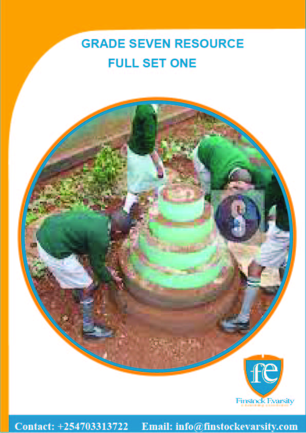 Full set grade 7 revision questions and answers finstock evarsity